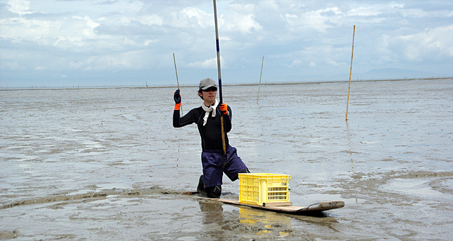 有明海の珍魚、ムツゴロウを釣ってみたい