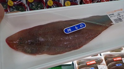 クチゾコ(クツゾコ)