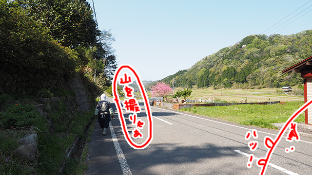 山