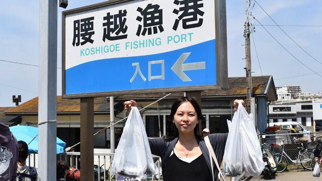 水揚げされたばかりの魚が大量に安く買える朝一